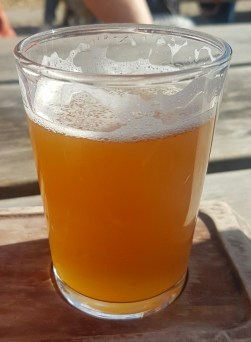 aviary-image-1537794984929